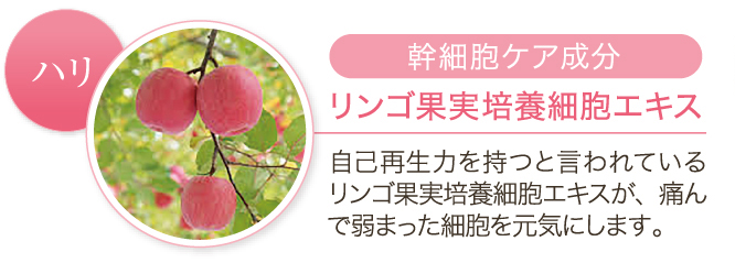 ハリ